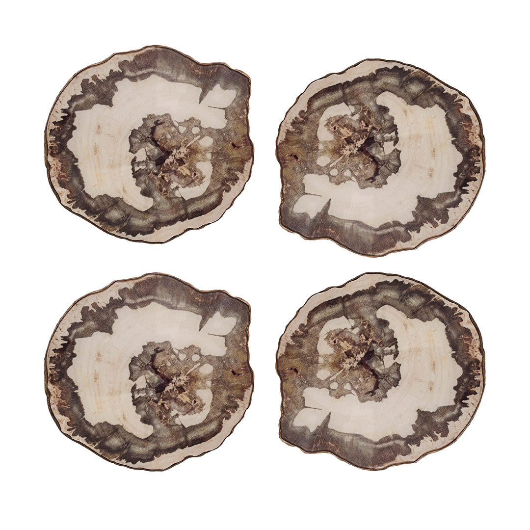 Natural Petrified Wood Coasters Set of 4 - Unique Stone Drink Coasters for Home Bar, Coffee Table & Outdoor Patio Decor