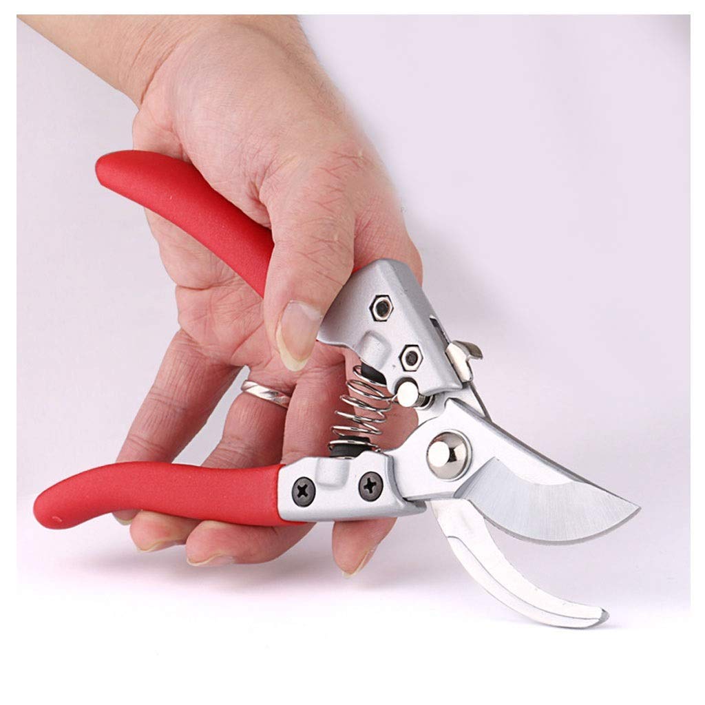 Professional Garden Pruning Shears - Sharp Bypass Pruner for Flowers & Branches | Manual Branch Trimmer & Plant Scissors | Ergonomic Red Gardening Tools for Women | Perfect for Trimming Roses, Shrubs & Indoor Plants