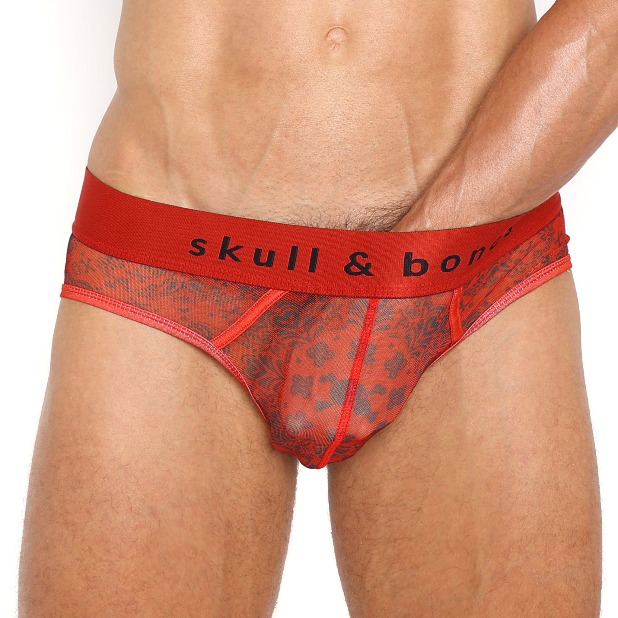 Red Heart Sheer Mesh Bandana Briefs - Sexy Lingerie for Women, Valentine's Day Gift, Romantic Occasions & Special Nights