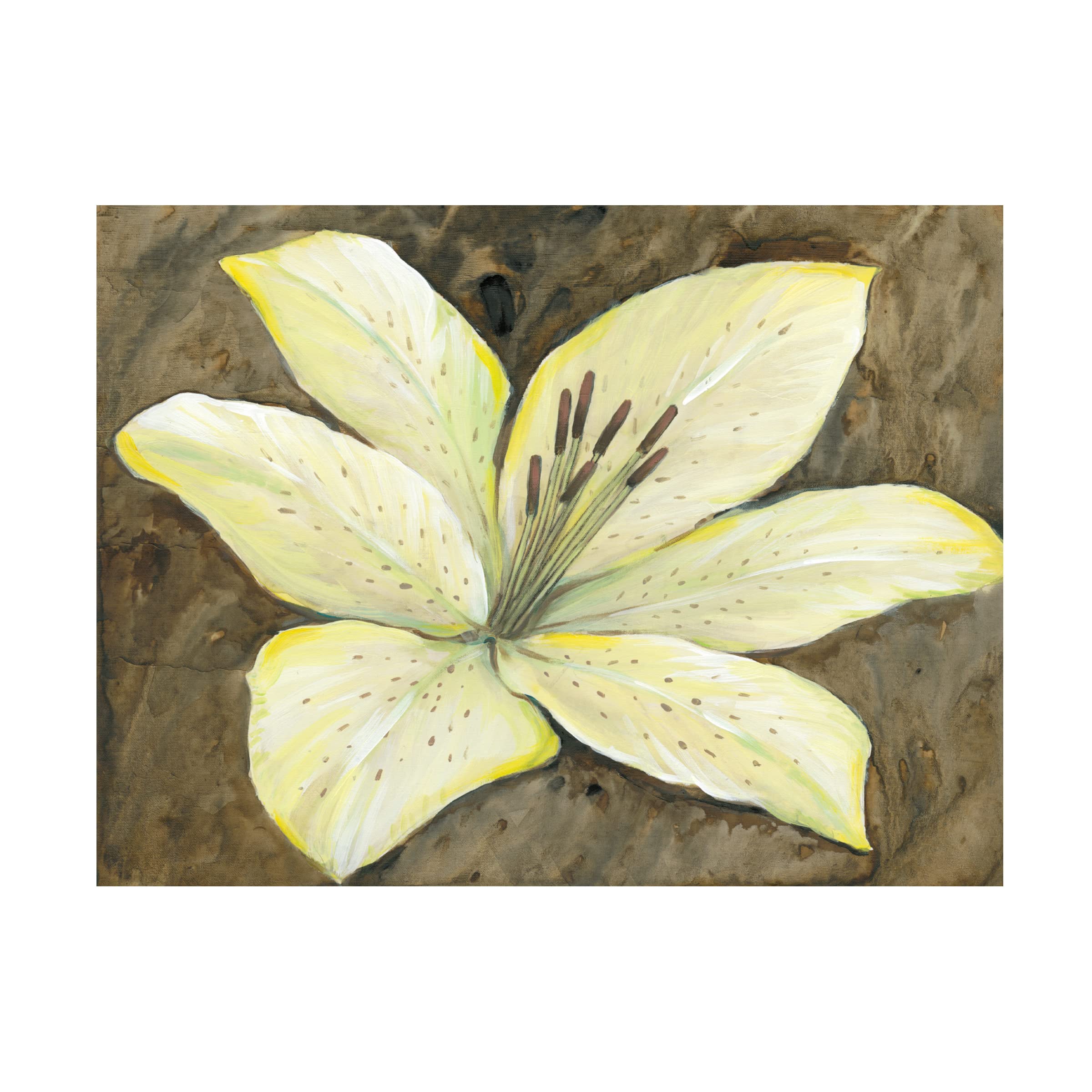 Tim O'Toole 'Neutral Lily I' Canvas Wall Art Print - Modern Floral Home Decor for Living Room, Bedroom & Office
