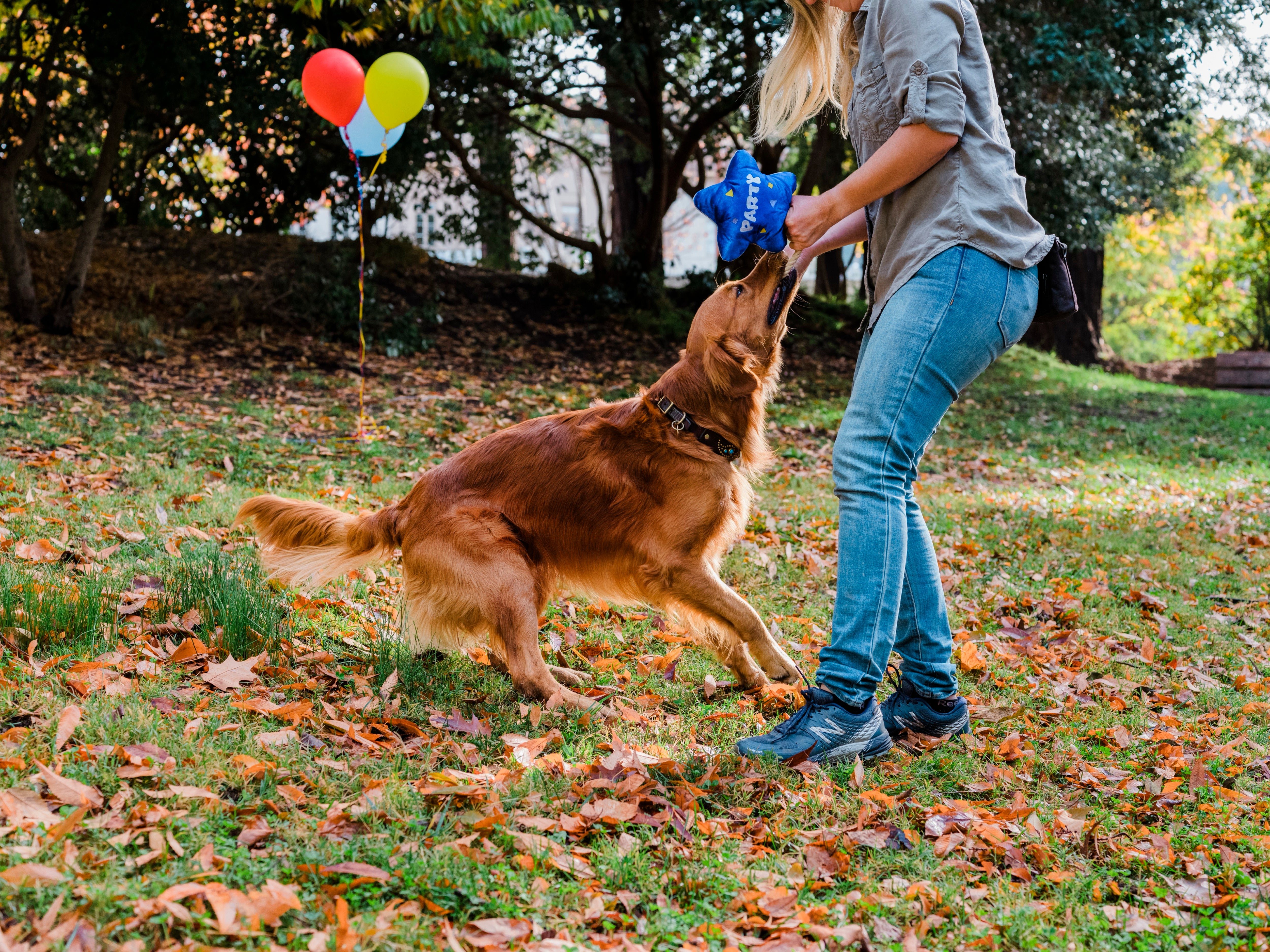 Party Time™ Dog Plush Toy - El Globo Fiesta Fun Chew Toy for Pets | Durable & Cute Dog Birthday Gift | Perfect for Playtime, Training Rewards & Puppy Teething Relief