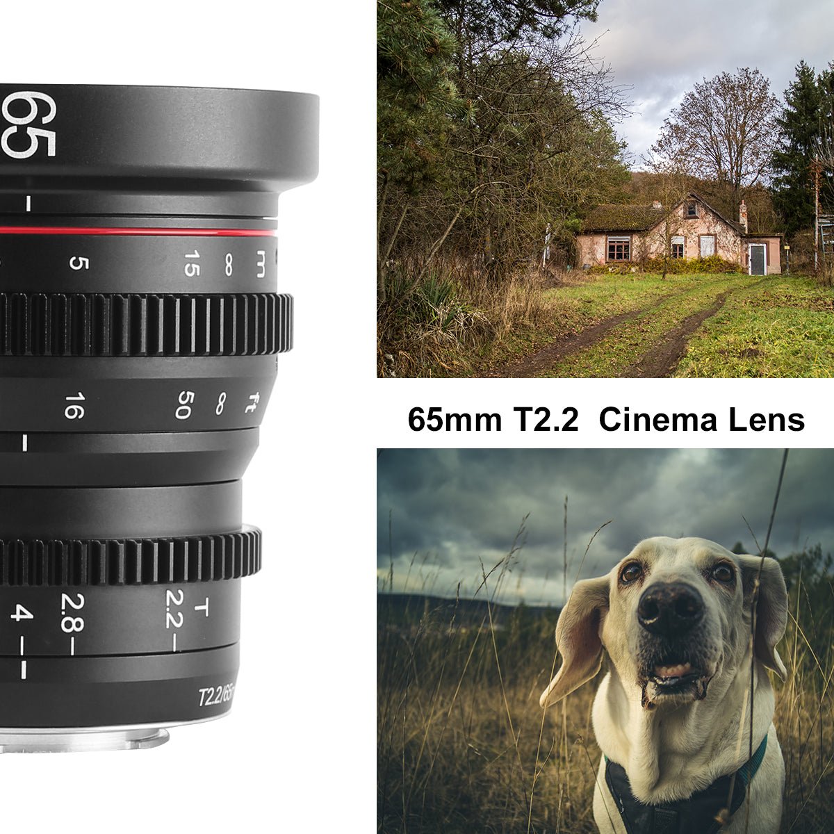 Meike Cinema Prime 65mm T2.2 Lens for Sony E Mount Cameras - Professional Cine Lens for Filmmaking, Videography & Photography - Perfect for Low Light, Portraits & Bokeh Effects