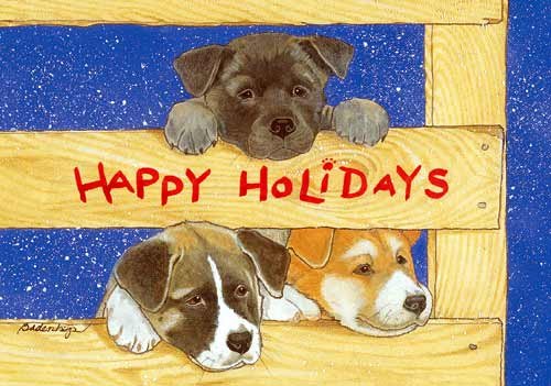 Pipsqueak Akita Christmas Cards - Set of 10 Holiday Greeting Cards with Red Envelopes | Cute Dog-Themed Xmas Cards for Family & Friends | Perfect for Holiday Wishes, Office Gifts & Christmas Decorations