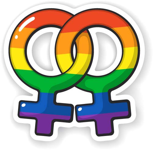 Rainbow Pride Vinyl Sticker - Waterproof Decal for Car, Laptop, Notebook, Phone (5 Inch) - LGBTQ+ Ally Sticker for Windows, Bumpers, Skateboards & Water Bottles