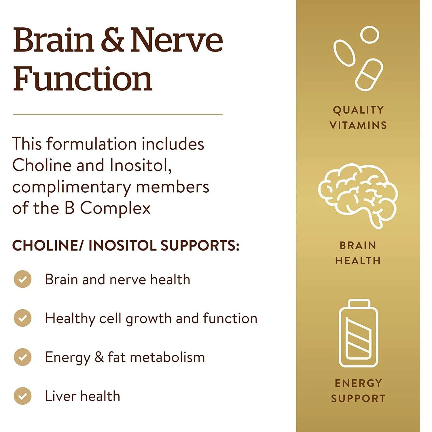 Solgar Choline & Inositol 500mg Supplement - Supports Brain Health, Liver Function & Metabolism - Perfect for Cognitive Support & Stress Relief