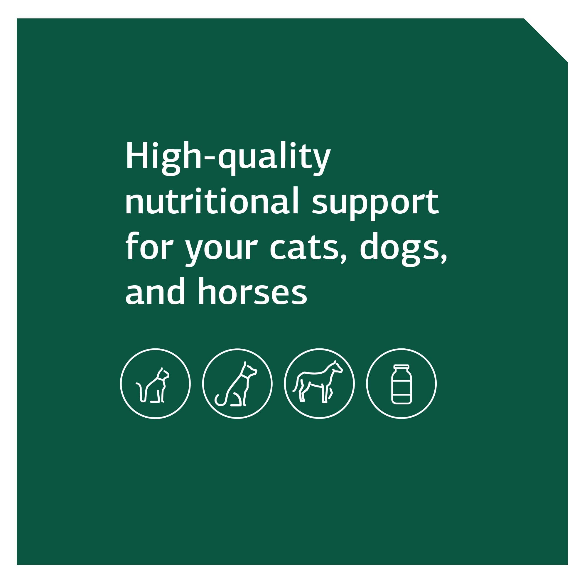 Standard Process Equine Metabolic Support Powder - Whole Food Horse Supplement with Green Tea Extract & Cayenne Pepper - 1134g for Healthy Digestion & Energy - Ideal for Performance Horses & Senior Equines