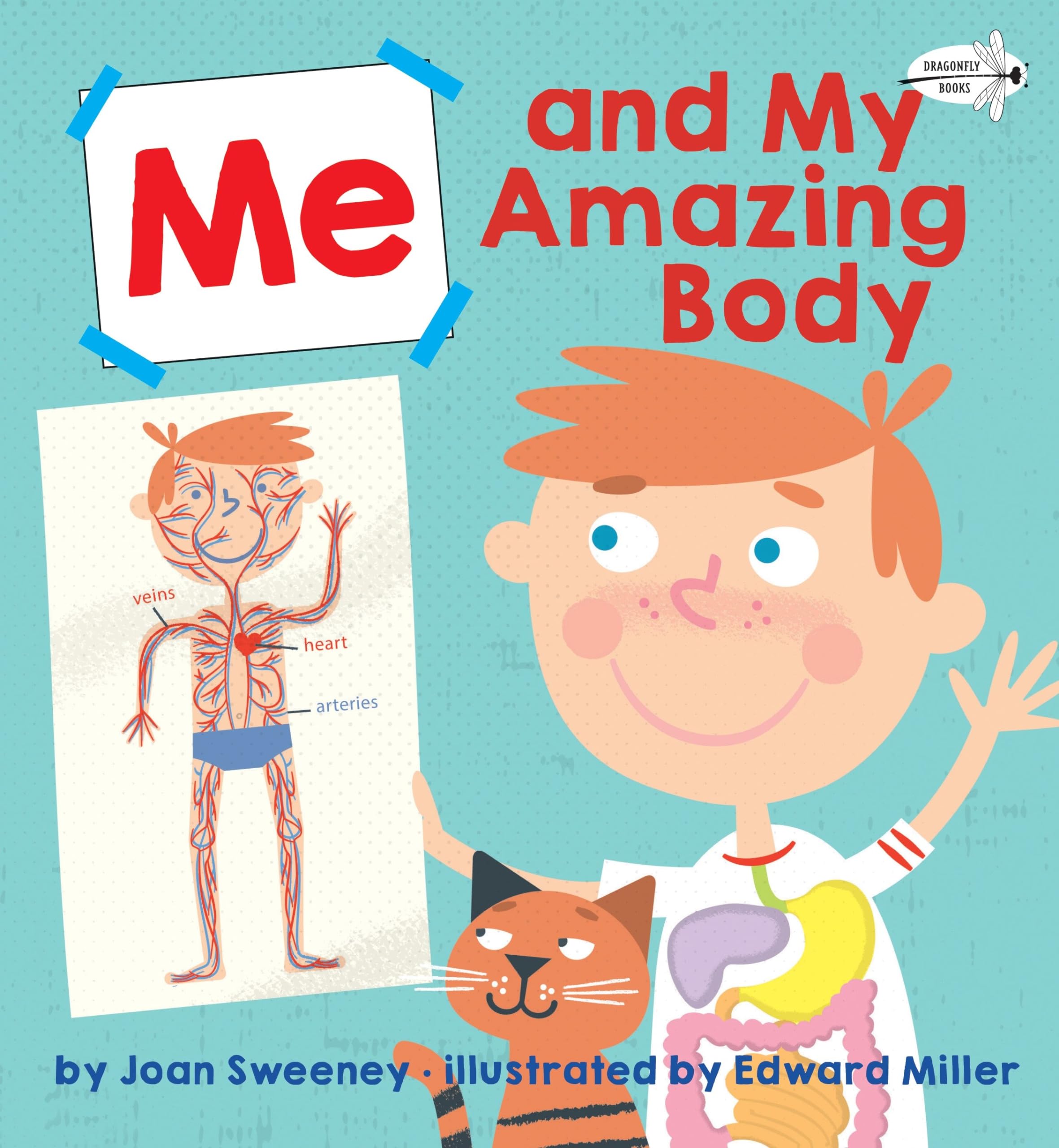 Me and My Amazing Body - Educational Book for Kids About Human Anatomy | Perfect for Homeschooling, Classroom Learning & Children's Science Exploration