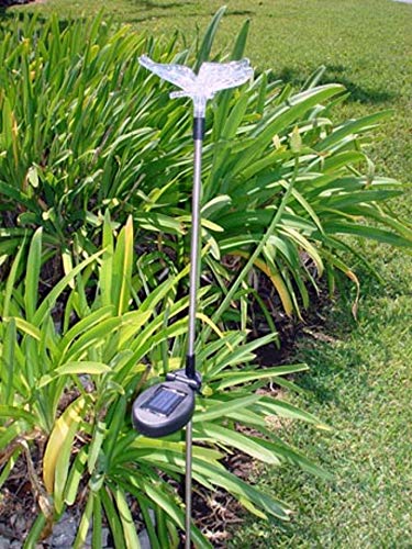 Solar Powered Garden Stake Lights - Color Changing & White LED Landscape Path Lights for Outdoor Decor (Set of 2, Butterfly Design) | Perfect for Walkways, Patios, and Backyard Lighting