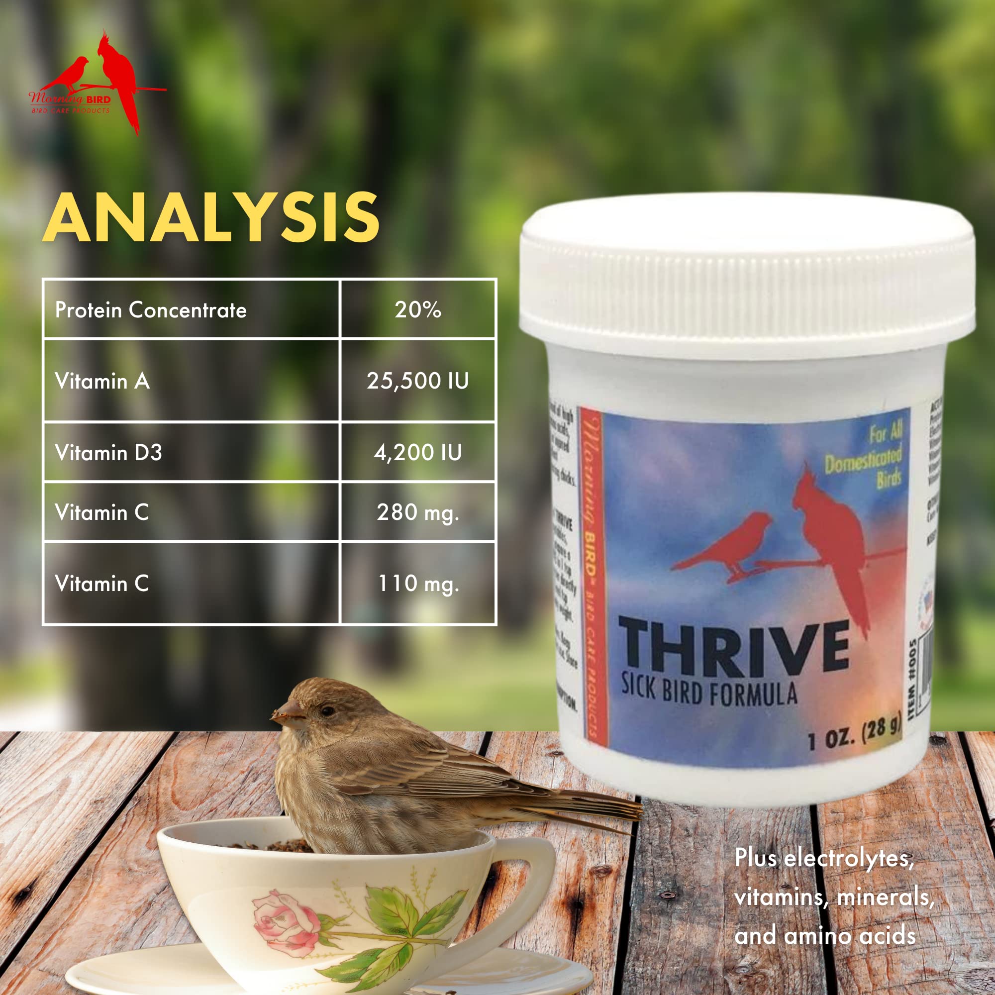 Morning Bird Thrive - Premium Nutritious Energy Supplement with Essential Minerals, Vitamins, Amino Acids, Electrolytes & Protein Powder (3 lbs) - Ideal for Workout Recovery, Active Lifestyle & Daily Energy Boost