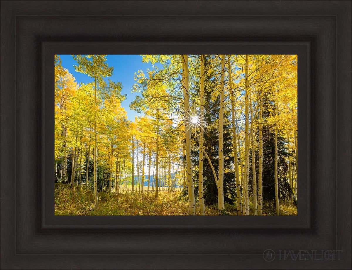 Autumn in the Rocky Mountains - Stunning Fall Foliage at Wasatch National Forest Utah | Perfect for Hiking, Photography & Nature Exploration
