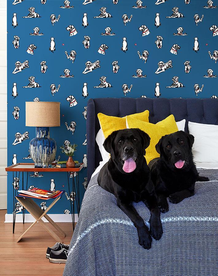 Nathan Turner Nacho Toile Wallpaper in Cadet Blue - Premium Peel & Stick Wallpaper for Living Room, Bedroom, or Nursery Decor