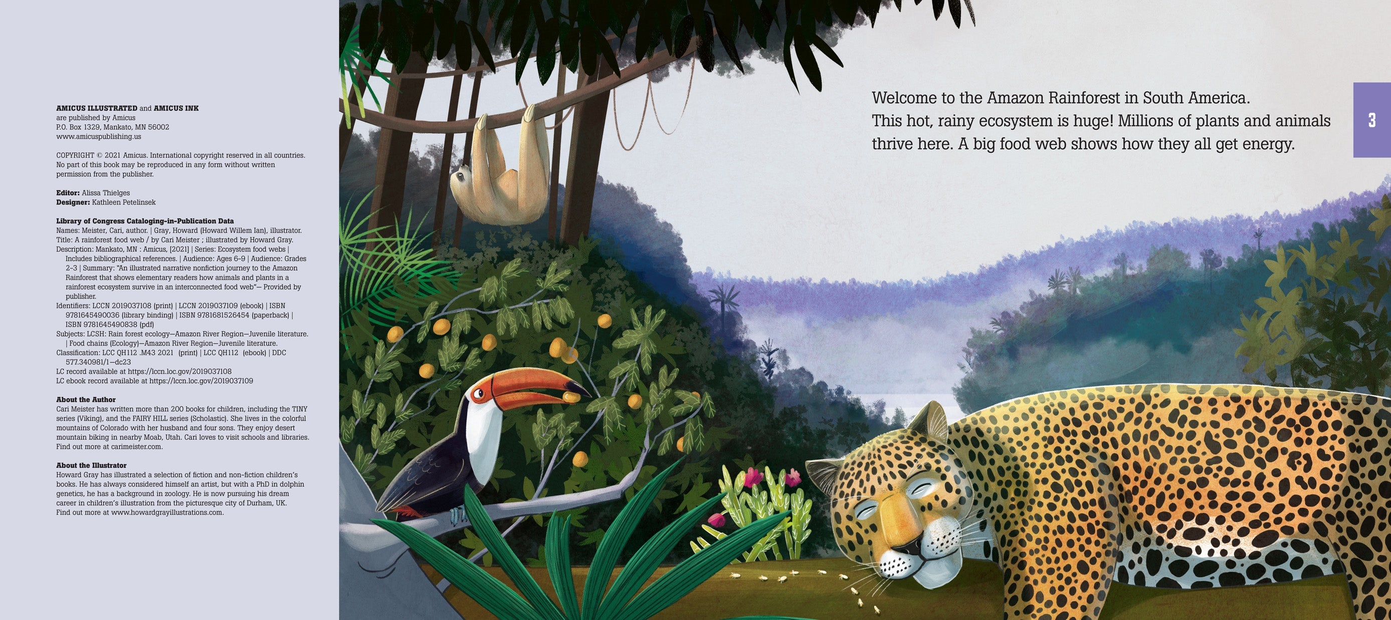 Amazon Rainforest Food Web Ecosystem - Explore the Biodiversity and Interconnected Species for Educational and Conservation Use