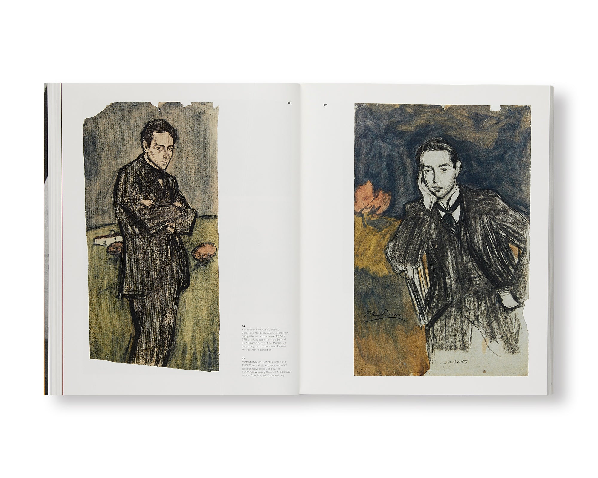 Picasso and Paper - Pablo Picasso Art Book | Explore Picasso's Paper Artworks for Home Decor & Gifts