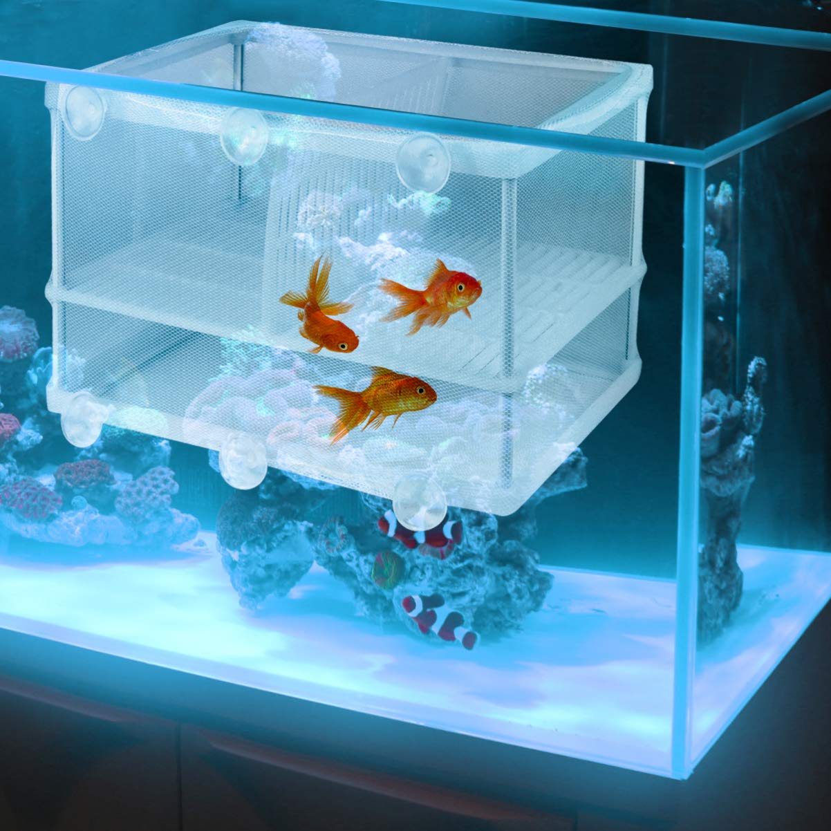 POPETPOP Home Aquarium Tank Case - 1PC Household Fish Tank Water Changer, Fry Net & Water Absorber for Small Fish Breeding, Terrarium Partition | Perfect for Aquarium Maintenance & Fry Separation
