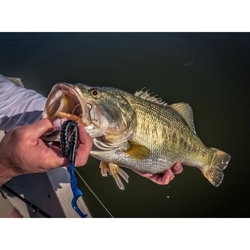 Berkley PowerBait Power Worms - Soft Plastic Fishing Lures for Bass, Trout & Panfish - Realistic Scent & Action - Perfect for Freshwater & Saltwater Fishing