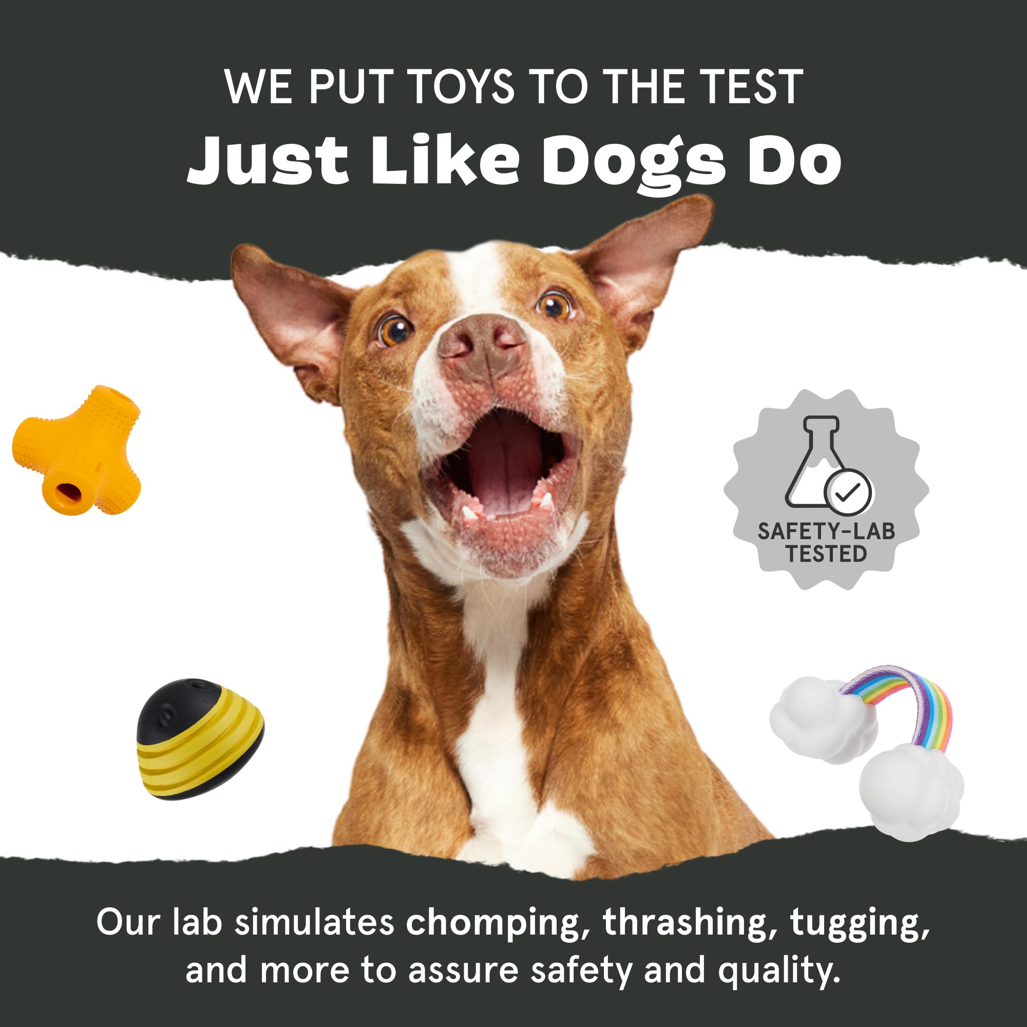 BARK Coral Teef Dog Toy - Durable Chew Toy for Aggressive Chewers | Wacky Bounce Design | Interactive Play & Dental Health | Perfect for Large Dogs & Strong Chewers | Indoor & Outdoor Use
