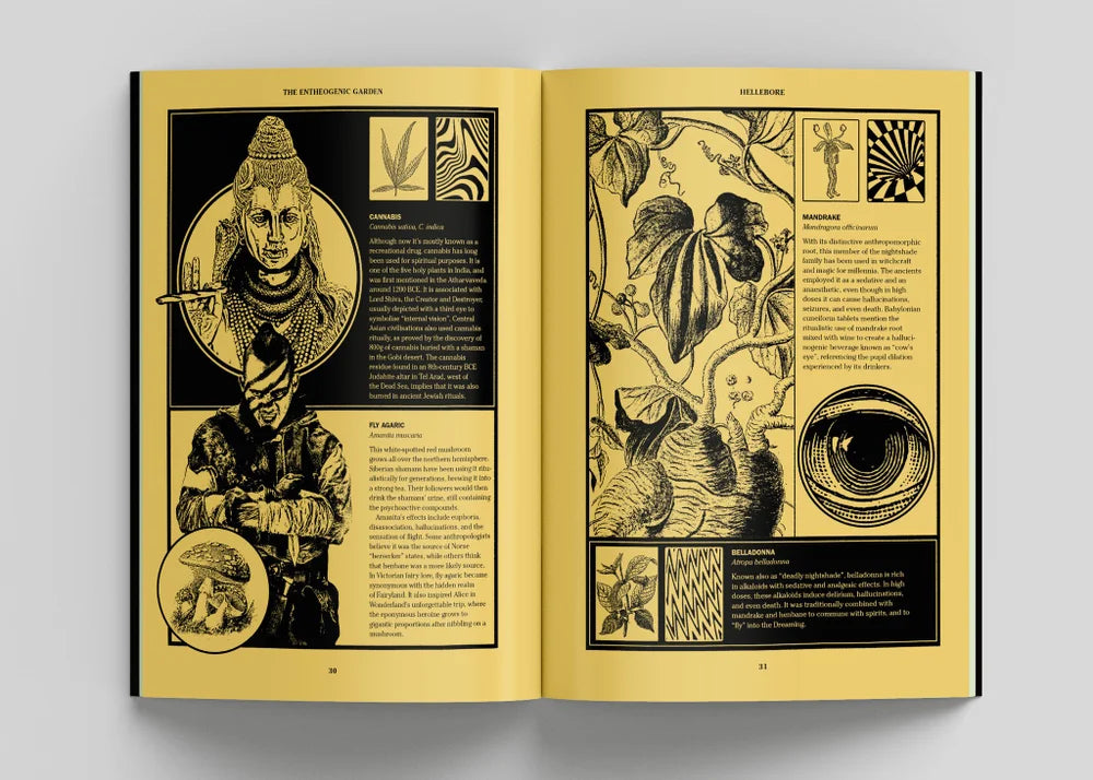 Hellebore Magazine Issue No. 8 - Dark Folklore & Occult History | Perfect for Gothic Literature Fans & Occult Enthusiasts