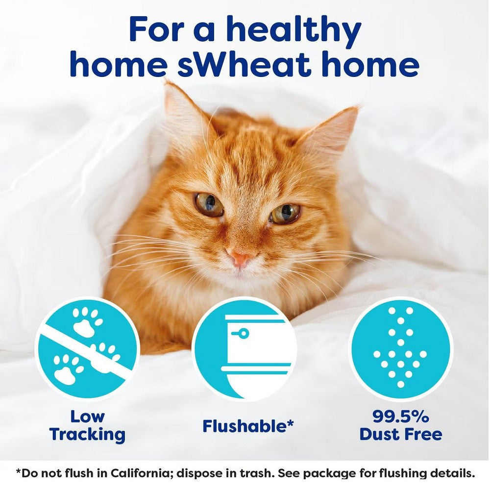 Original sWheat Scoop Natural Wheat Cat Litter - Eco-Friendly, Clumping, Low Dust for Multi-Cat Homes | Perfect for Odor Control & Easy Cleanup in Litter Boxes