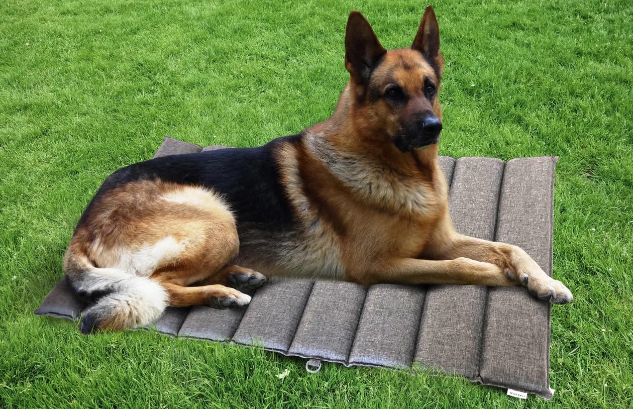 **Foreman Foldable Dog Bed - Waterproof Travel Pet Mattress for Indoor & Outdoor Use - Heavy Duty, Durable & Portable Dog Bed with Foam Mattress - Ideal for Camping, Hiking & Home Comfort - XL 42