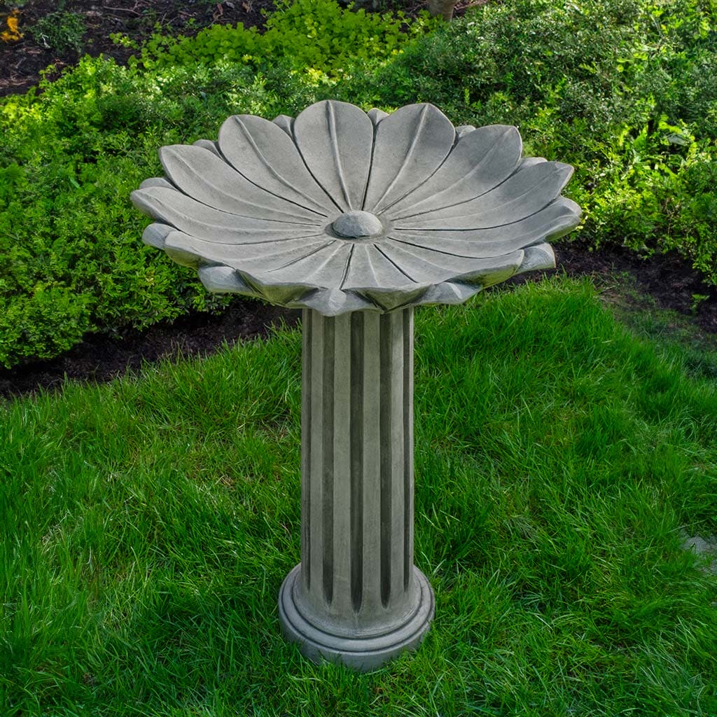 Campania International Marguerite Birdbath - Classic Garden Decor for Outdoor Birds | Perfect for Backyard, Patio, and Garden Landscaping