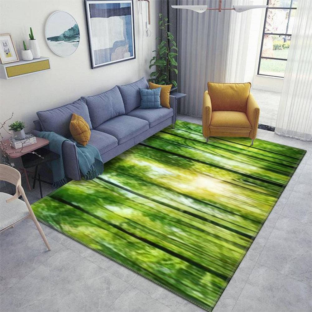 Non-Slip Washable Indoor/Outdoor Area Rug - Scenic Forest Panorama with Fresh Green Deciduous Trees - Kids Playmat for Living Room, Bedroom & Playroom - Perfect for Home Decor, Children's Play Areas & Cozy Spaces