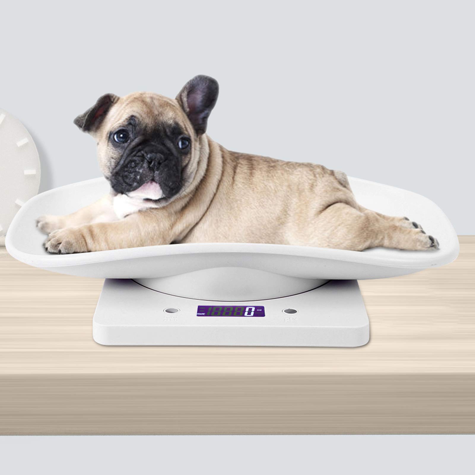Gedourain Digital Baby Scale - Accurate Infant & Pet Scale for Newborns, Puppies, Cats & Small Animals - Perfect for Weighing Food & Tracking Growth at Home