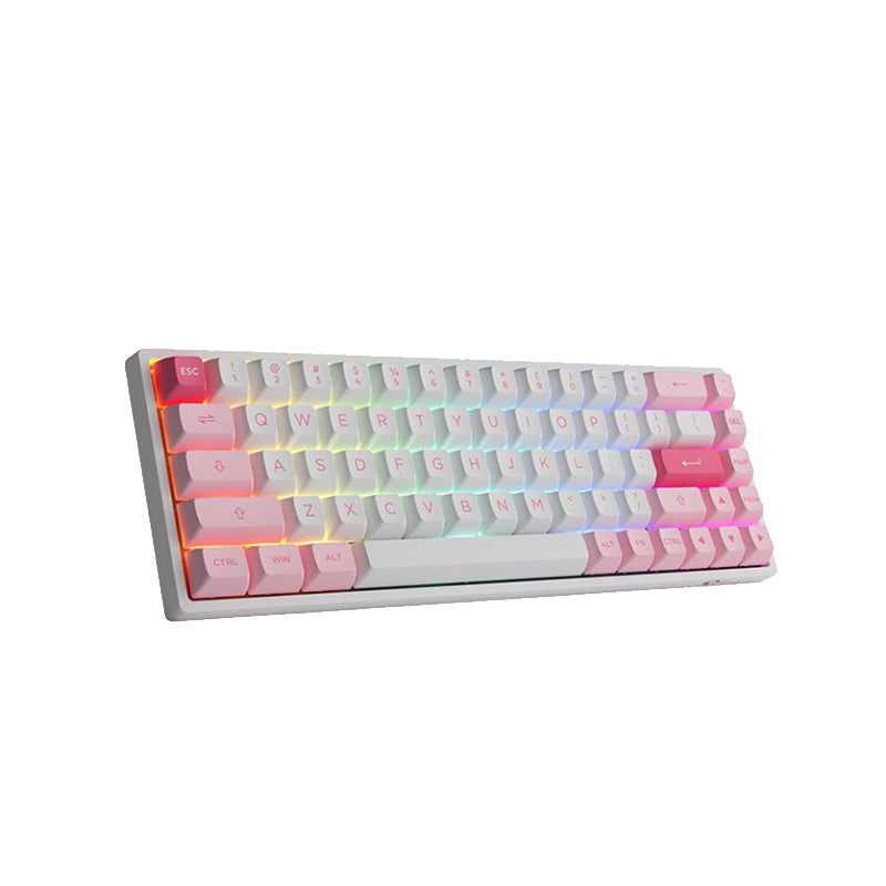 Akko 3068B Plus Wireless Mechanical Keyboard - RGB Backlit, Hot-Swappable CS Jelly Pink Switches, Compact 65% Layout for Gaming & Typing - Perfect for Office, Home & Esports