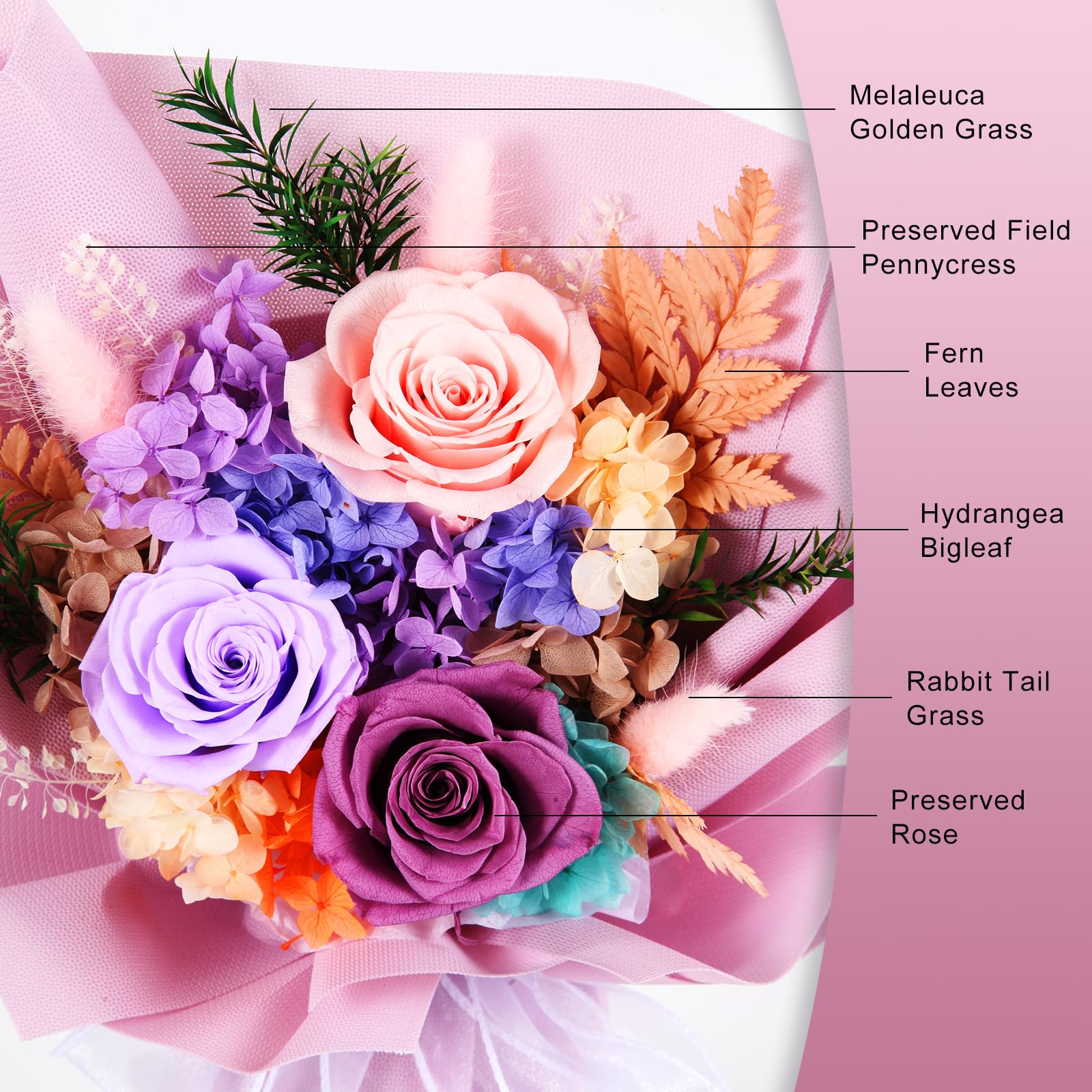 Forever Roses Bouquet - 3 Year Lasting Fresh Flowers for Birthday, Anniversary, Mother's Day, Sympathy & Special Occasions - Perfect Gift for Women, Mom, Grandma, Wife & Friends - Ideal for Home Decor, Wedding Centerpieces & Office Desk