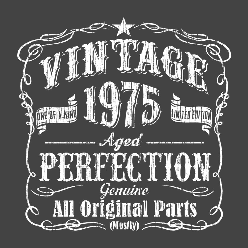 Vintage 1970s 52nd Birthday T-Shirt for Men - Funny 52 Year Old Gift Idea - Perfect for Birthday Parties & Retro Theme Celebrations