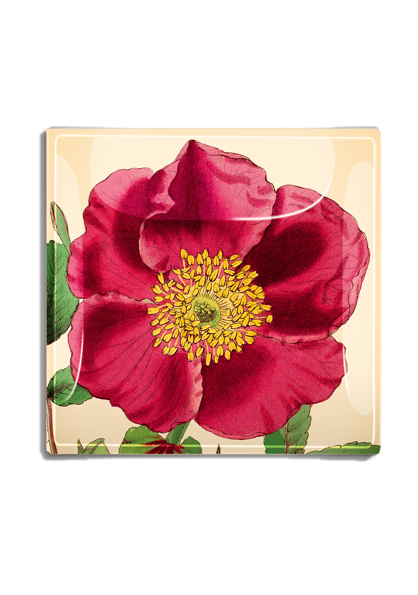 Handmade Red Rose Flower with Green Stem Decoupage Glass Tray - Elegant Home Decor for Dining Table, Coffee Table Centerpiece, and Gift Giving