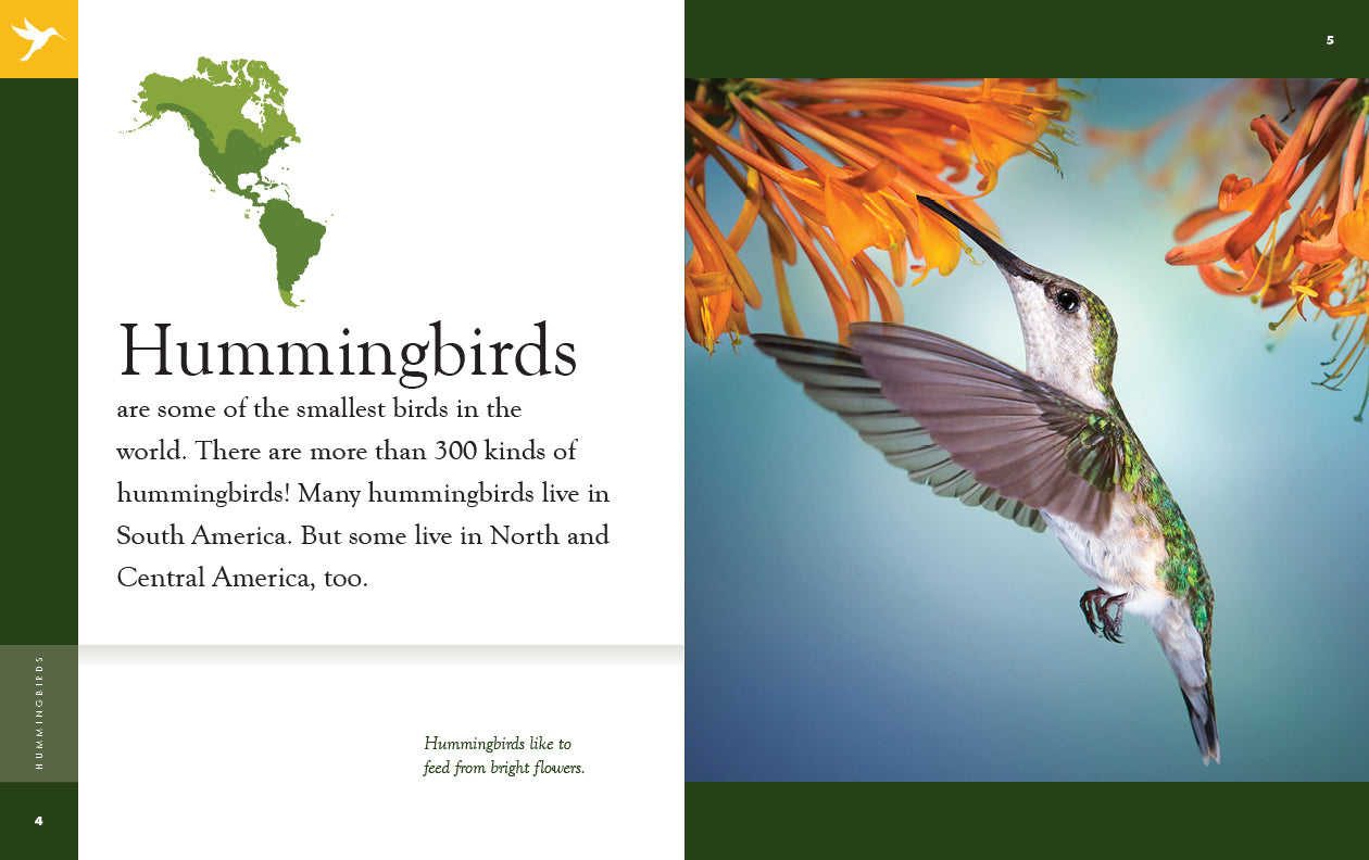 Hummingbirds Book - 9781640265448 | Fascinating Facts & Stunning Photos | Perfect for Bird Lovers & Nature Enthusiasts