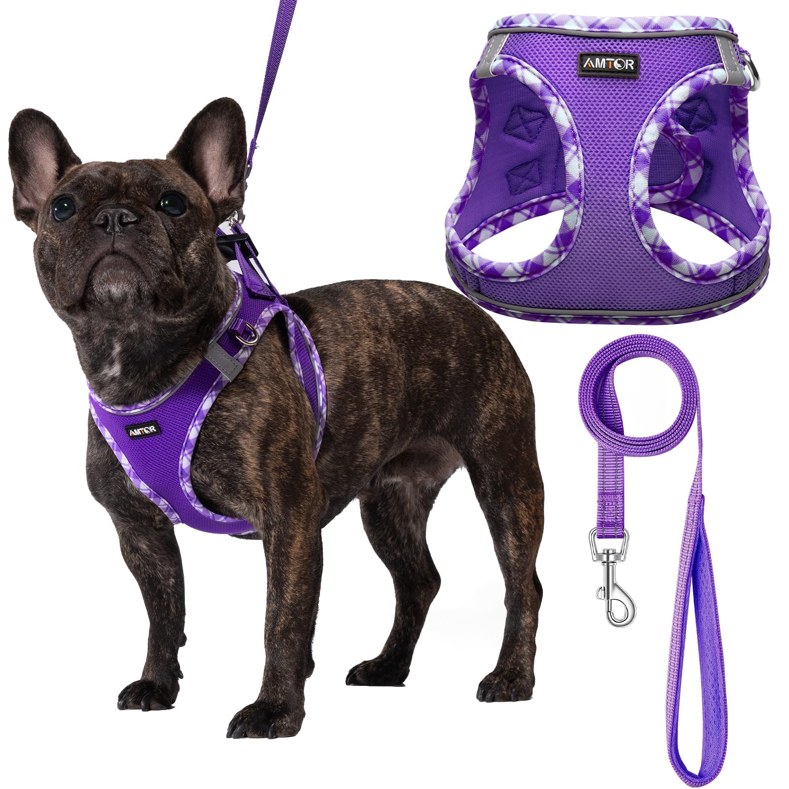AMTOR No Escape Small Dog Harness with Leash Set - Easy Walk Puppy Training Vest for XS, S, M, L Dogs - Reflective Step-in Soft Dog Harness (Purple, XXS) - Perfect for Walking, Training & Nighttime Safety