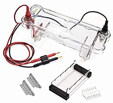 Jackson Global JLE001 Electrophoresis Apparatus - 16 Samples per Gel with 7x14cm Casting Tray | DNA/RNA Protein Separation for Lab Research & Clinical Diagnostics