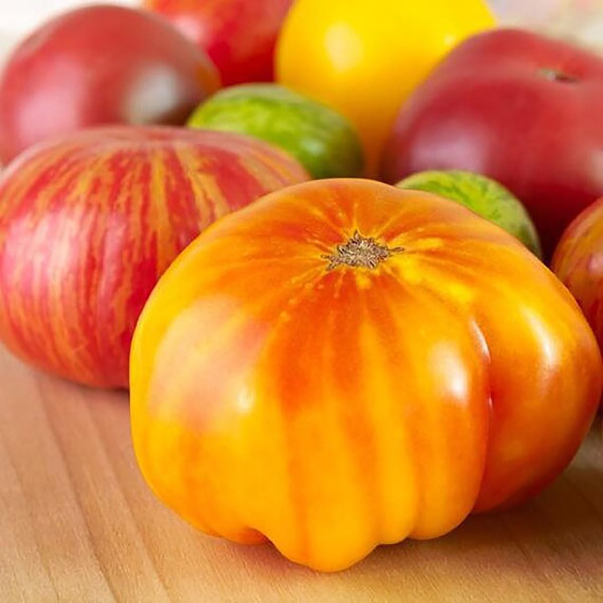 Hillbilly Potato Leaf Heirloom Tomato Seeds - Large, Delicious, Non-GMO Tomato Seeds for Home Garden - Perfect for Fresh Salads, Sauces, and Organic Gardening