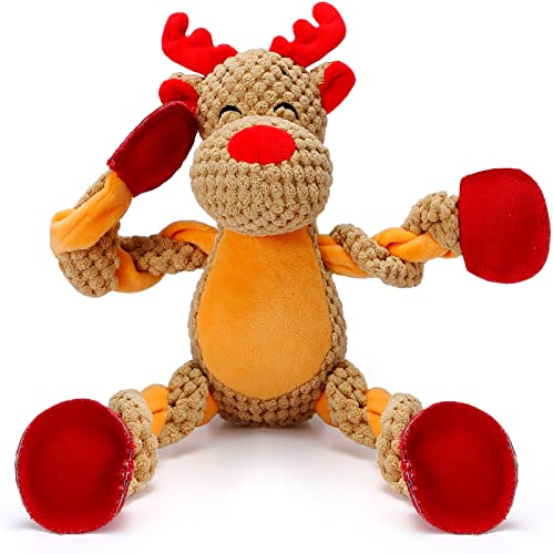 Reindeer