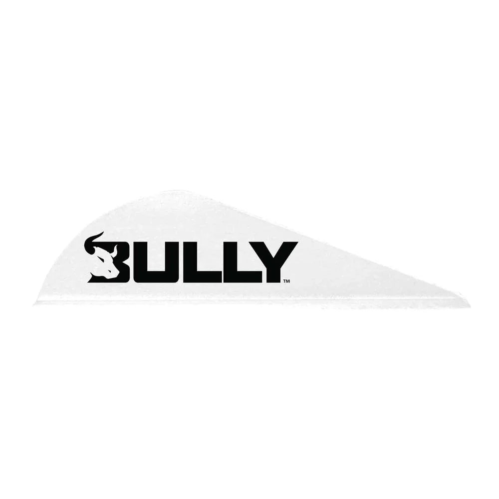 Easton Bully Vanes for Archery - High-Performance Bow Stabilizers for Target Shooting & Hunting | Perfect for Outdoor Sports & Competition Use