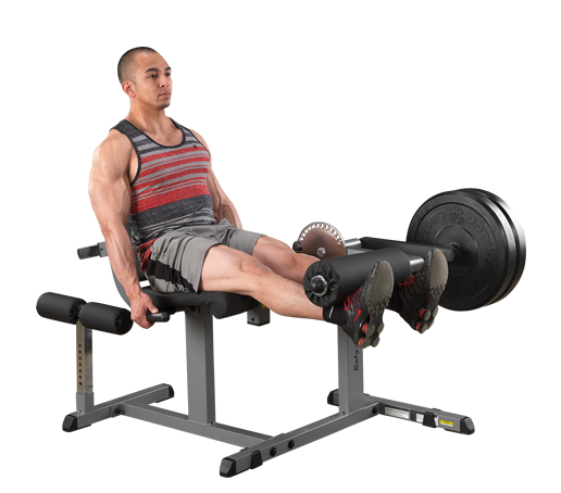 Body Solid GCEC340 Plate Loaded Leg Curl & Leg Extension Machine - Home Gym Strength Training Equipment for Thigh & Hamstring Workouts
