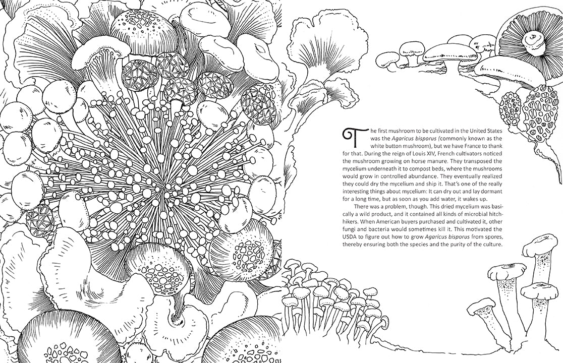 Fantastic Fungi Coloring Book for Adults - Relaxing & Creative Mushroom Designs for Stress Relief - Perfect for Meditation, Art Therapy & Nature Lovers