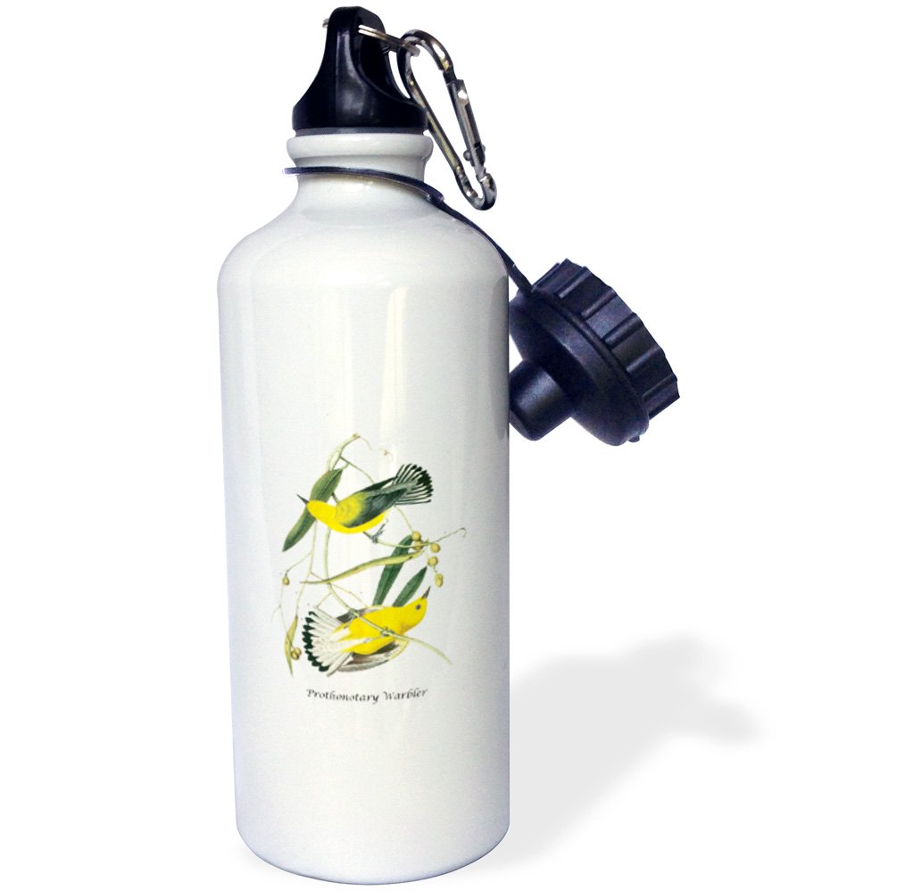 3D Insulated Sports Water Bottle - 21oz White with Prothonotary Warbler by John James Audubon - Perfect for Gym, Hiking & Outdoor Activities
