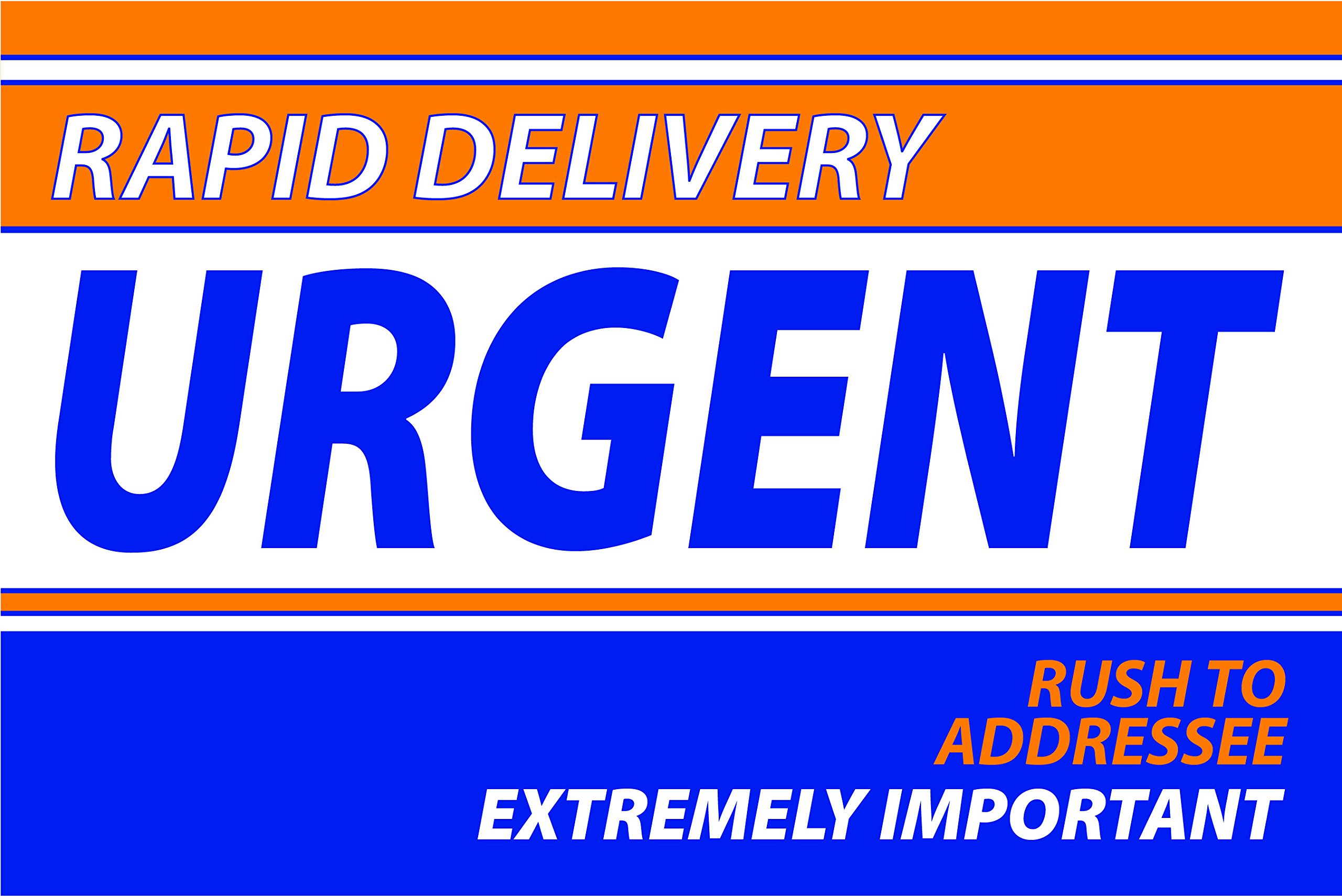 6x9 Express Envelopes - Bulk 500/Carton for Direct Mail, Marketing & Business Communications | Perfect for Real Estate Promotions, PR Campaigns & Product Announcements