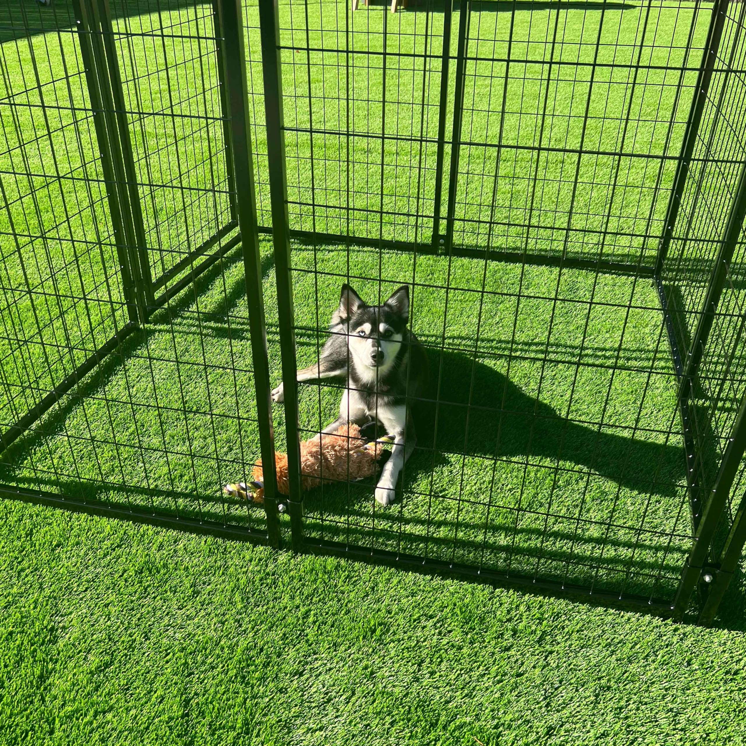 ALEKO Heavy Duty 5'x5'x4' Galvanized Steel Dog Kennel - Indoor & Outdoor Pet Playpen for Small, Medium & Large Dogs - Rust-Resistant Portable Travel Cage for Home, Yard, Camping & Road Trips (Black DK5X5X4SQ)