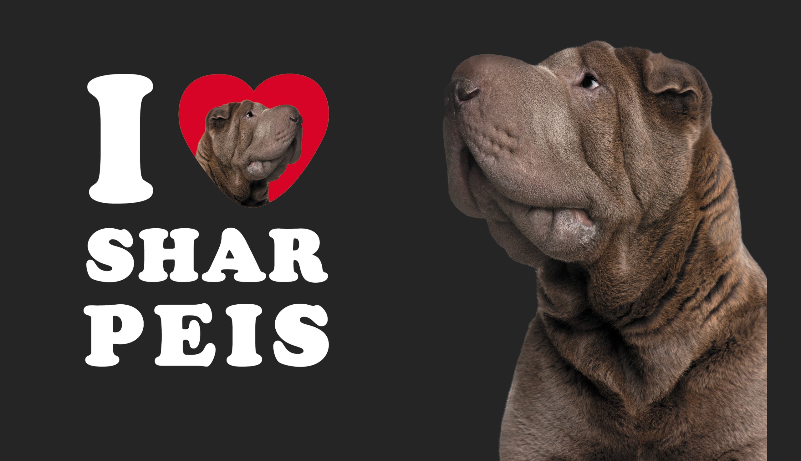 Tree-Free Greetings I Heart Shar Peis Artful Traveler 16oz Double-Walled Insulated Tumbler with Reusable Straw - Perfect for Coffee, Tea & Cold Drinks at Home, Office or Travel