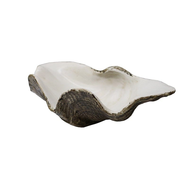 Natural Small Clam Shells - Perfect for Beach Decor, DIY Crafts, and Aquarium Landscaping
