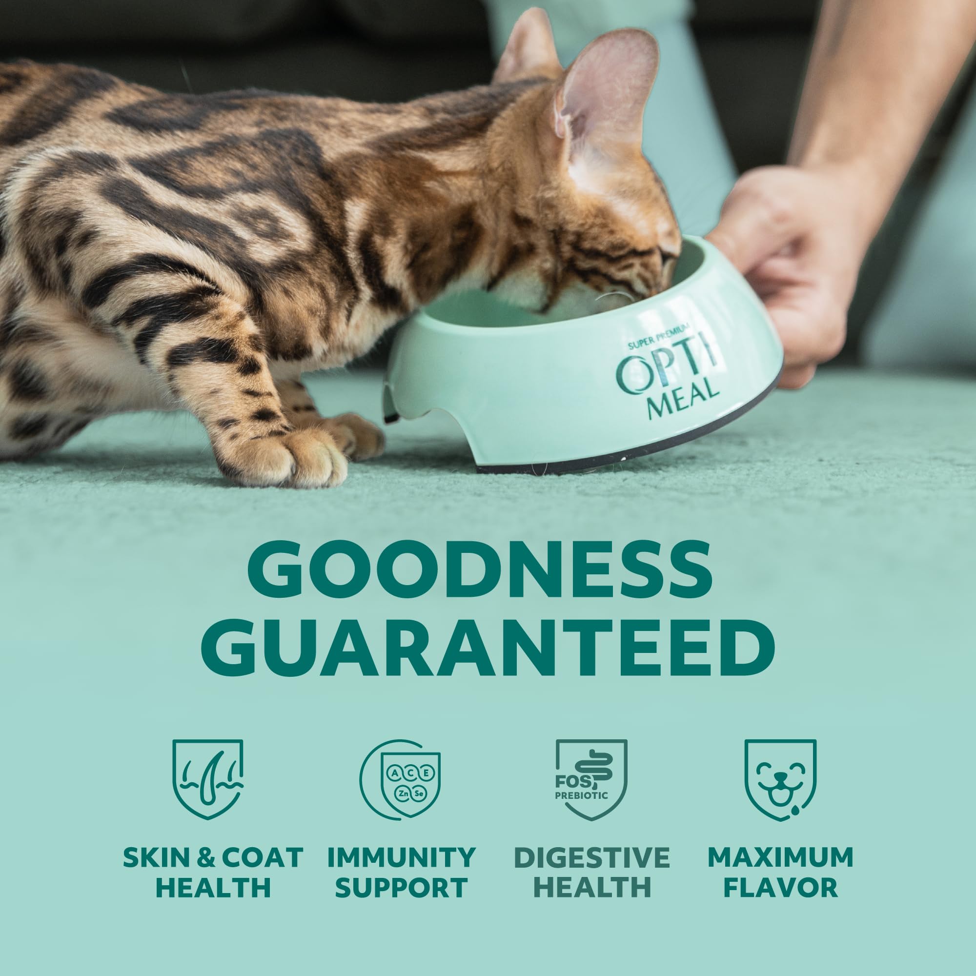 Optimeal Vital Nurture Kitten Dry Food - Chicken & Rice Recipe for Healthy Digestion & Immune Support - 8.8lb Bag - Premium Ukrainian Cat Food for Growing Kittens - Perfect for Daily Meals & Nutritional Growth