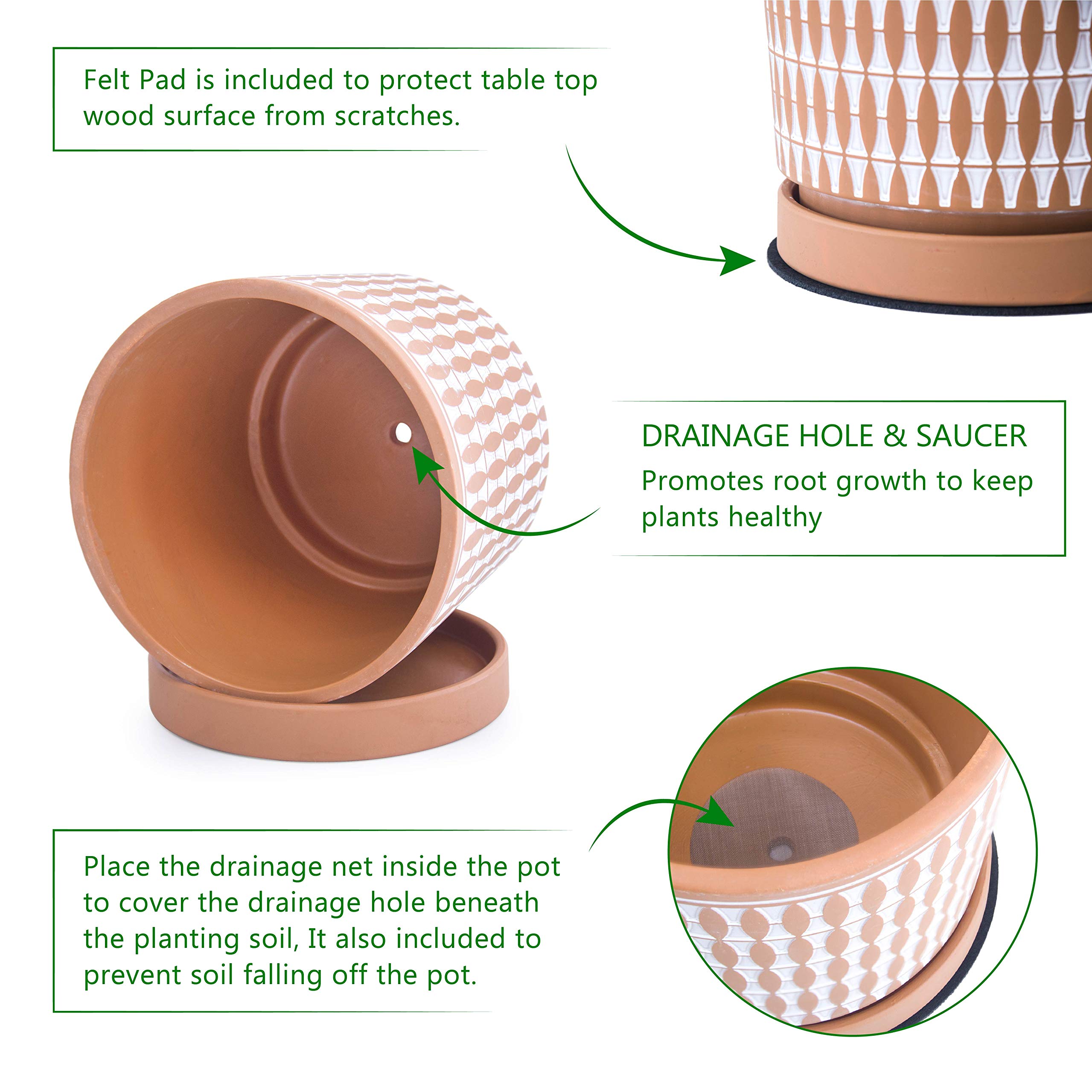 D'vine Dev Set of 2 Terracotta Flower Pots - 6.5