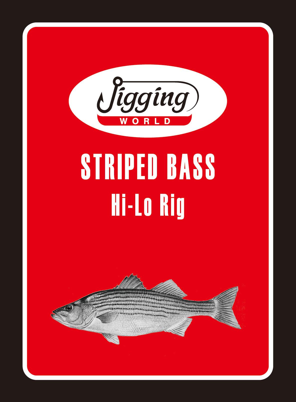 Jigging World Striped Bass Fishing Rigs - Premium Saltwater & Freshwater Lures for Bass Fishing - Perfect for Shore, Boat, and Kayak Anglers