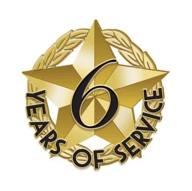6 Year Service Gold Star Lapel Pin for Employee Recognition