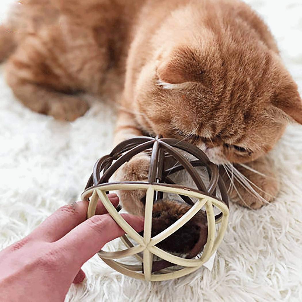 Interactive Cat Toy Ball with Squeaky Mouse - Fun Cage Ball for Indoor Cats - Perfect for Playtime, Exercise & Hunting Instincts - Great for Kittens & Adult Cats