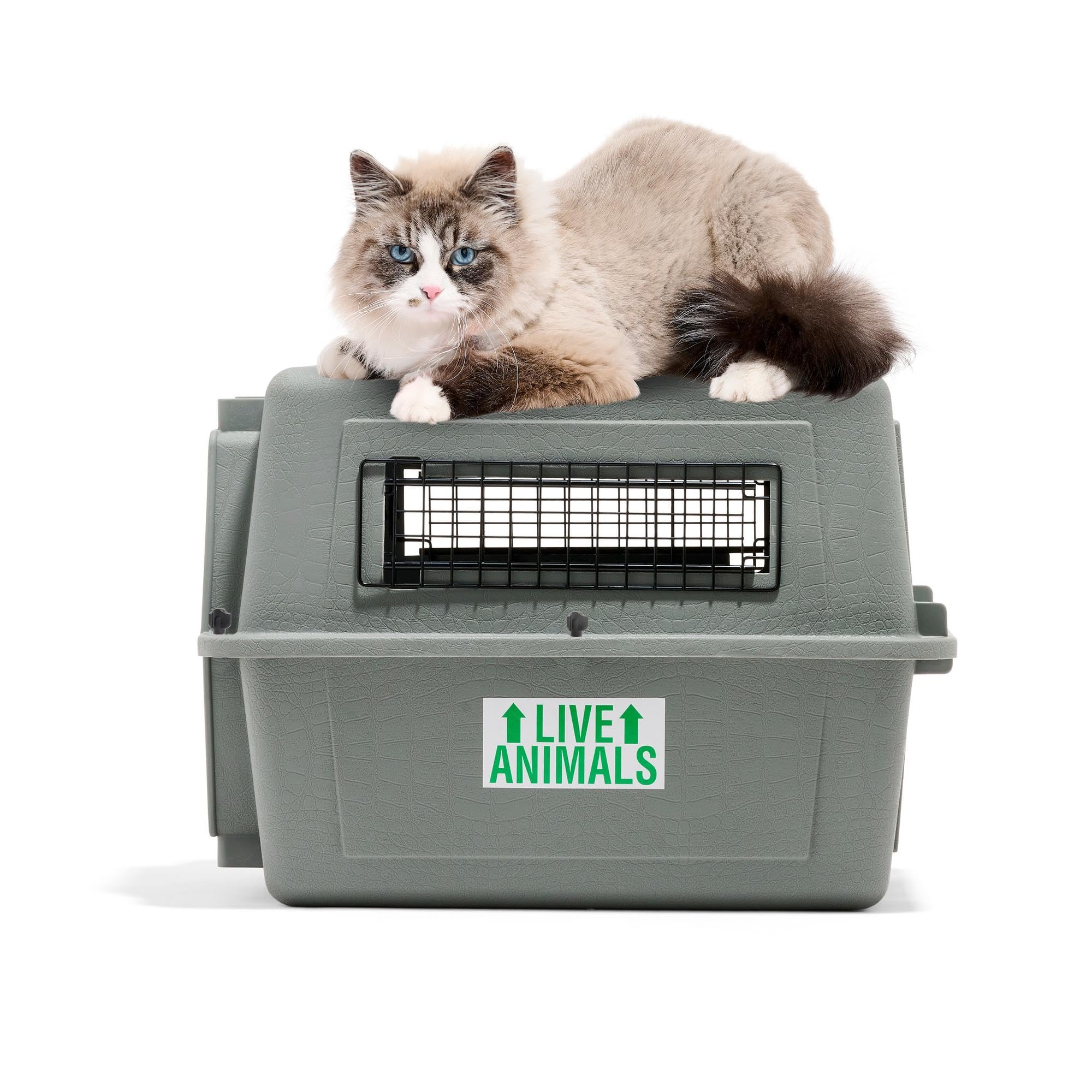 Petmate Sky Kennel - Airline Approved Travel Dog Crate for Small Pets up to 15 lbs, Heavy Duty Plastic Pet Carrier for Airplane & Car Travel - 21 Inch (Made in USA) - Perfect for Flying, Road Trips & Vet Visits