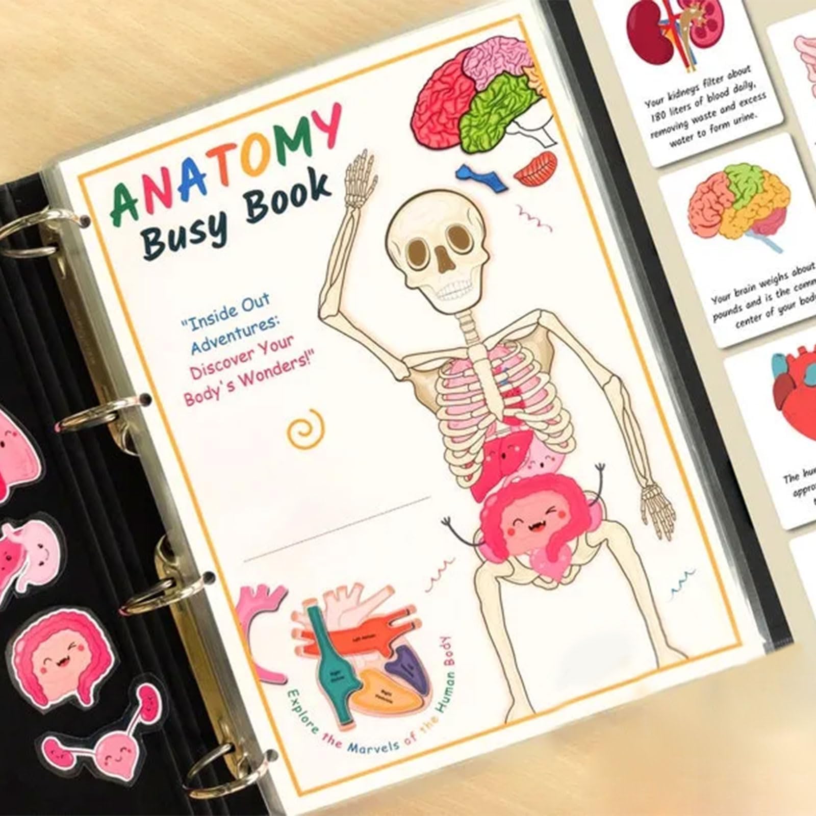 Interactive Human Anatomy Busy Book for Kids - Preschool Learning Toy with Organ Matching Game | Discover Body Secrets | Perfect for Homeschool Science & Montessori Education